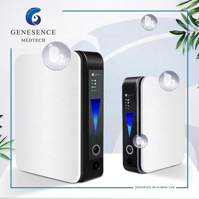 ποιότητας  For Home Use 1L Mini Flow Portable In-car Oxygen Concentrator, Home Oxygen Making Machine, Nebulizer Machine εργοστάσιο