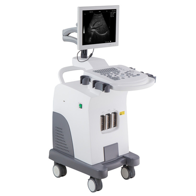 Stable Operation System BT-UD370 15&quot; LED Full Function Laptop Ultrasound With Cart B/W High End Ultrasound Scanner Machine